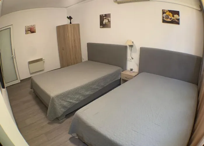 Samuil - Daire Burgaz