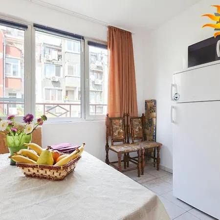Samuil Apartment *