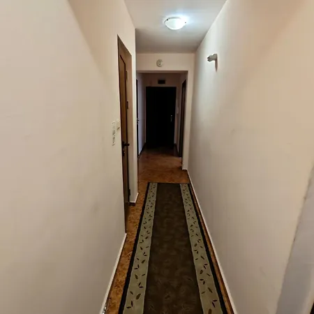 Apartment Samuil *