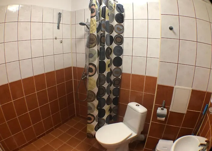 Апартамент Samuil -